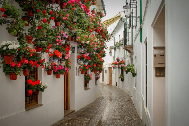 Los 8 mejores consejos para visitar Andalucía