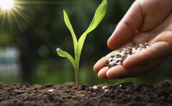 Fortalece tu suelo de manera natural: Descubre el abono orgánico ecológico